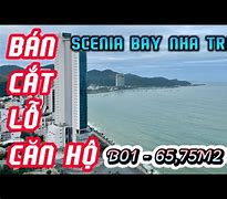 Bds Nha Trang Hom Nay