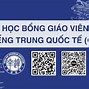 Cis 1 Năm Tiếng