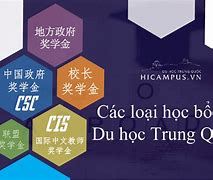 Học Bổng Chính Phủ Trung Quốc (Cgs) Là Gì Tiếng Anh Là Gì