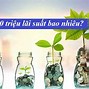 Lãi Suất Vay Tiền Ngân Hàng Sacombank