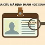 Mã Học Sinh Là Mã Gì