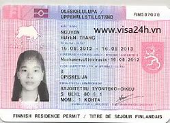 Mẫu Đơn Xin Visa Phần Lan