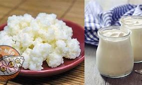 Sữa Chua Kefir Có Tốt Không